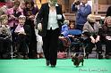 Crufts2011_2 1223